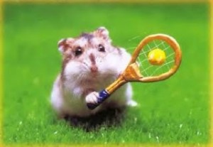 Hamster playing tennis